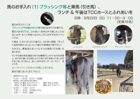 【満員御礼】「TCC Partners Program」第10回 馬のお手入れ(1)ブラッシング等と乗馬(引き馬)