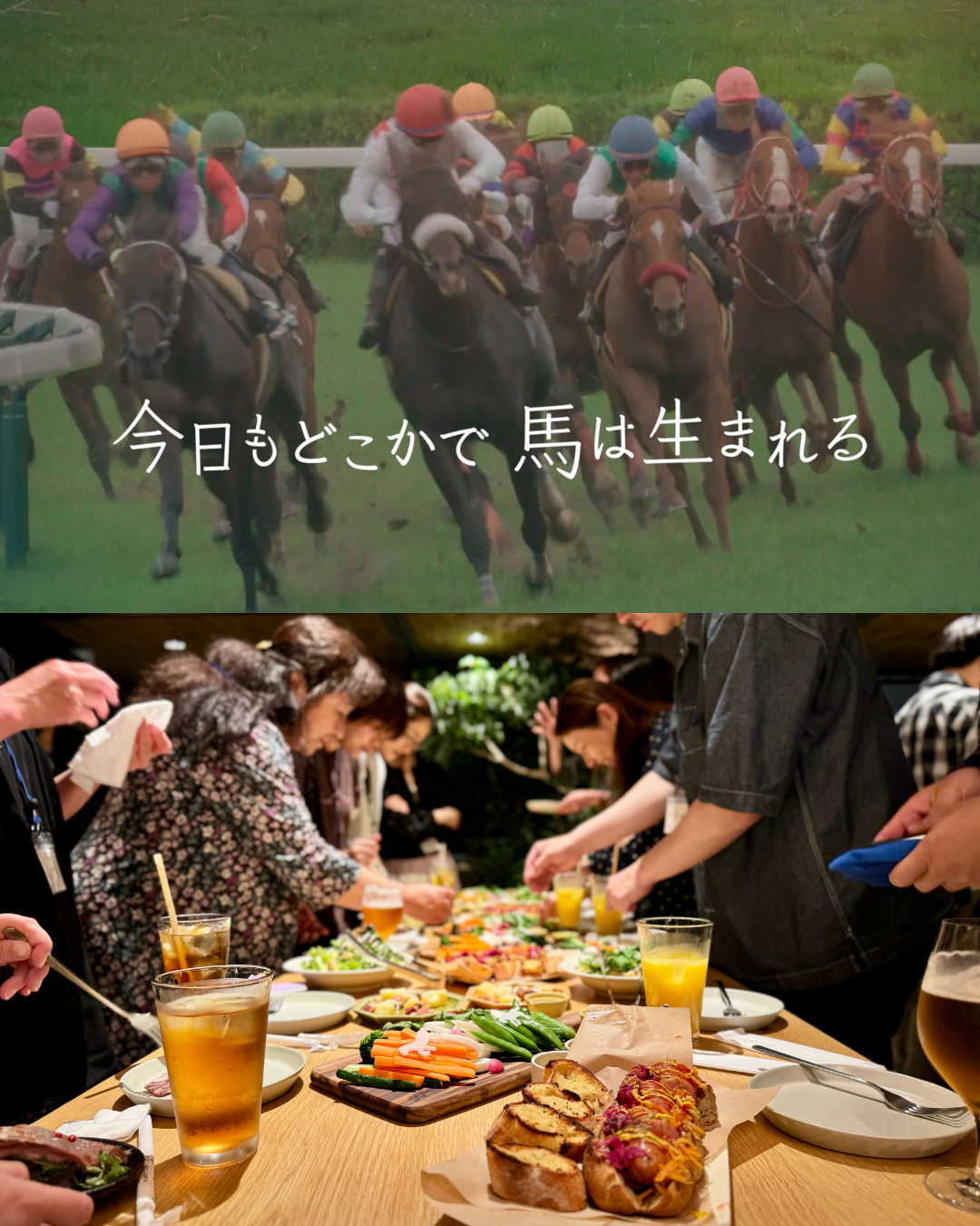 映画「今日もどこかで馬は生まれる」上映会&座談会