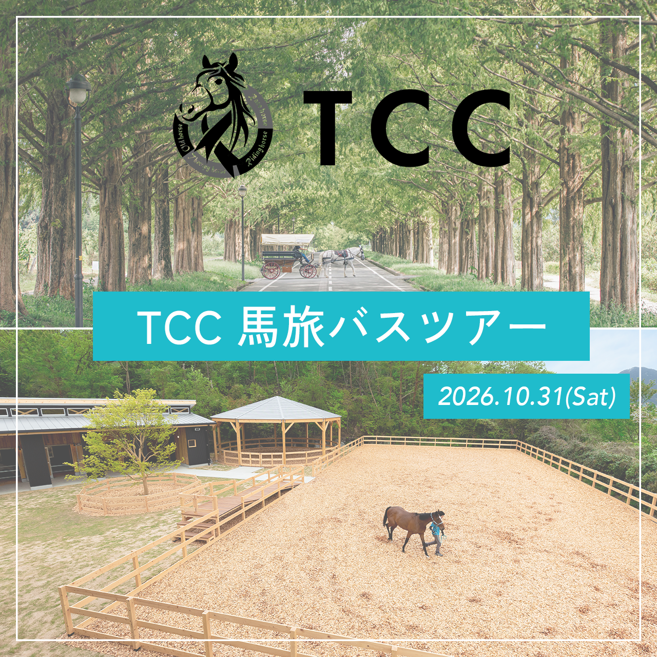 「 TCC 馬旅バスツアー」開催決定 !!