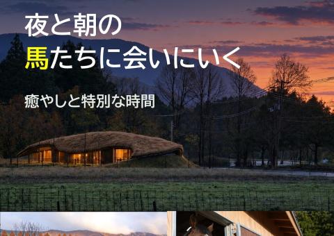 メタセコイアと馬の森 特別プログラム「夜と朝の馬たちに会いにいく 癒やしと特別な時間」