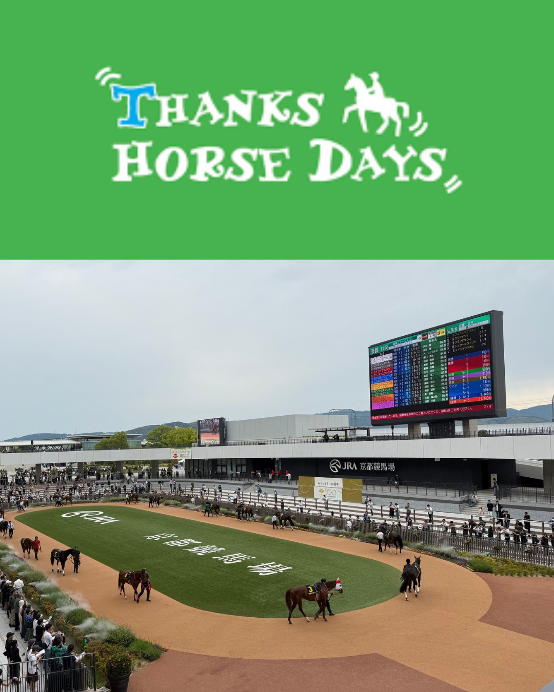 【11/14開催】サンクスホースデイズ ~馬に携わる人たちが馬に感謝する日~ in 京都競馬場