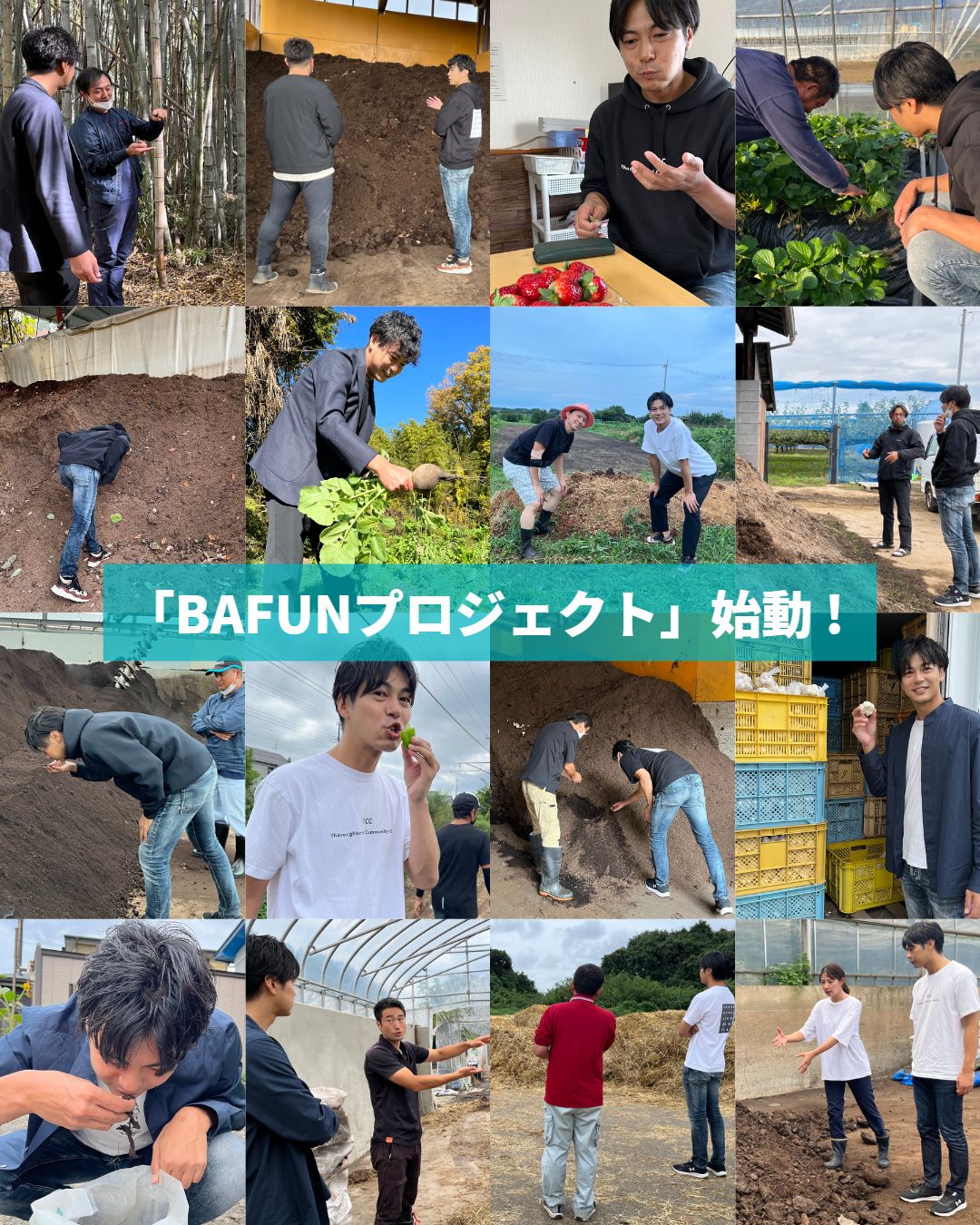 【重要】BAFUNプロジェクト開始!