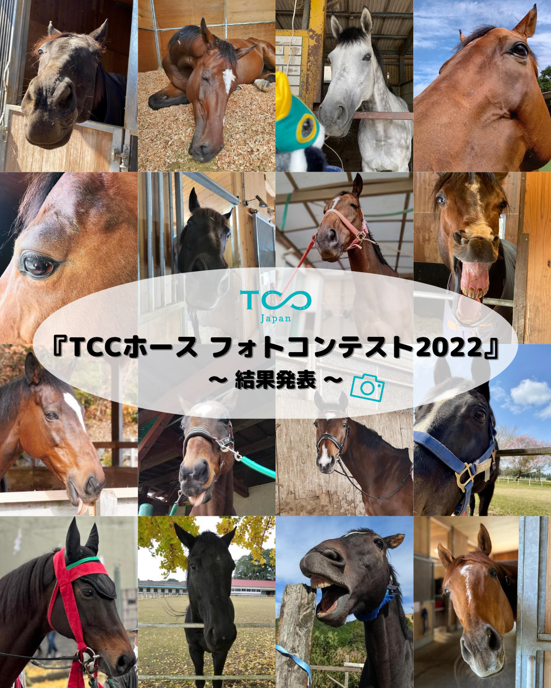 【結果発表】「TCCホース フォトコンテスト2022」