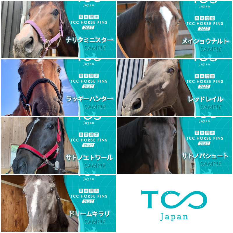 【新登場】栗東限定「TCC HORSE PINS」:滋賀県栗東市ふるさと納税