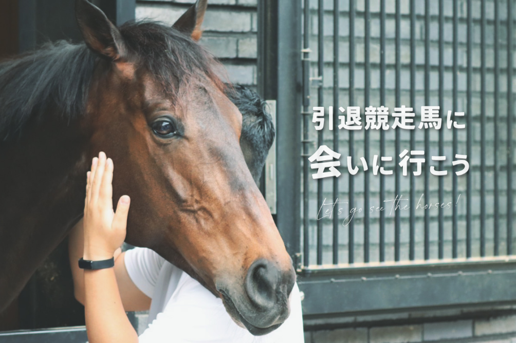 【公開】「TCC 引退競走馬ファンクラブ」ご紹介ページができました!!