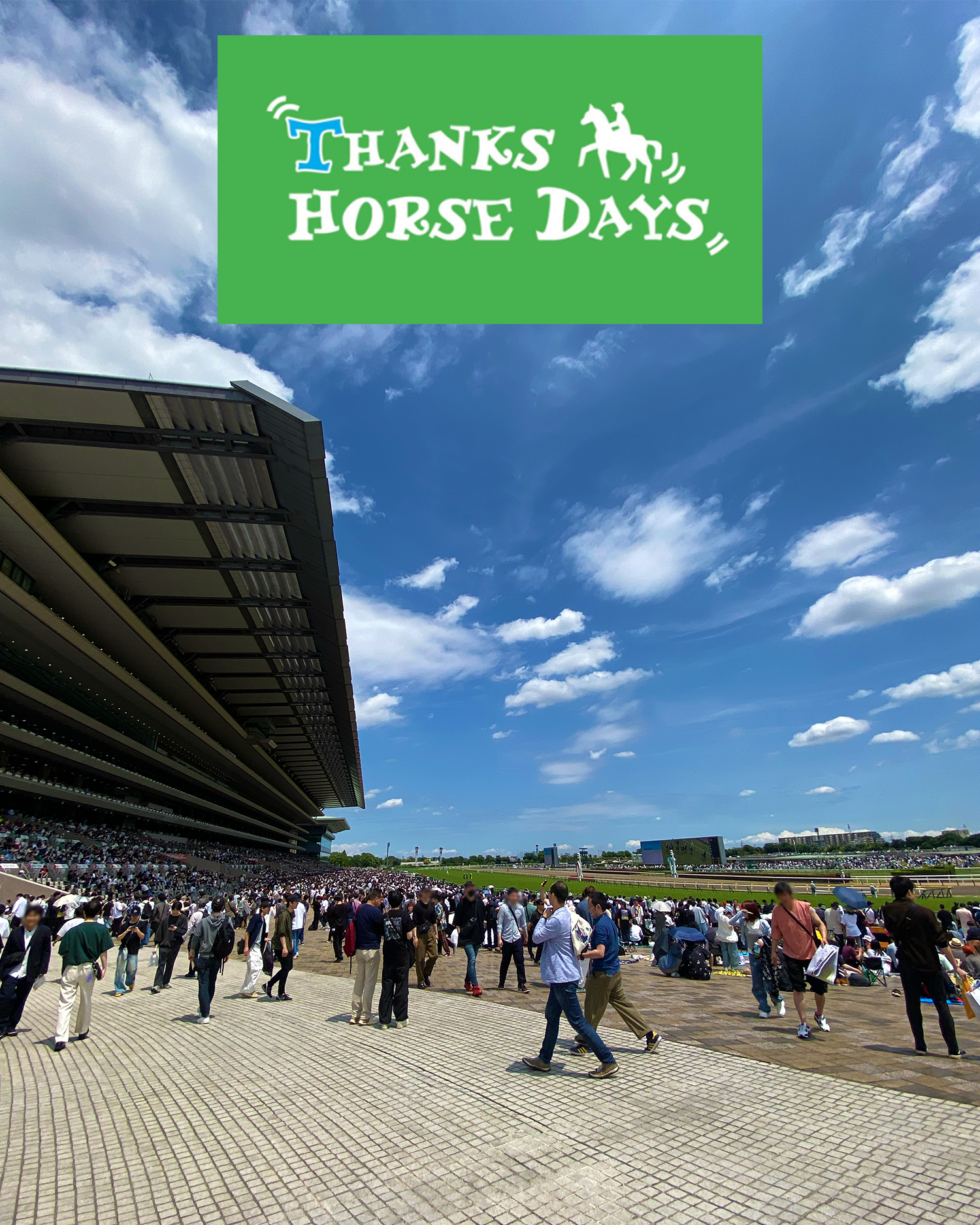 【開催】サンクスホースデイズ ~馬に携わる人たちが馬に感謝する日~ in 東京競馬場